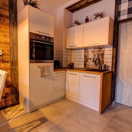 Apartamenty U Rybki Krynica - Zdroj エクステリア 写真